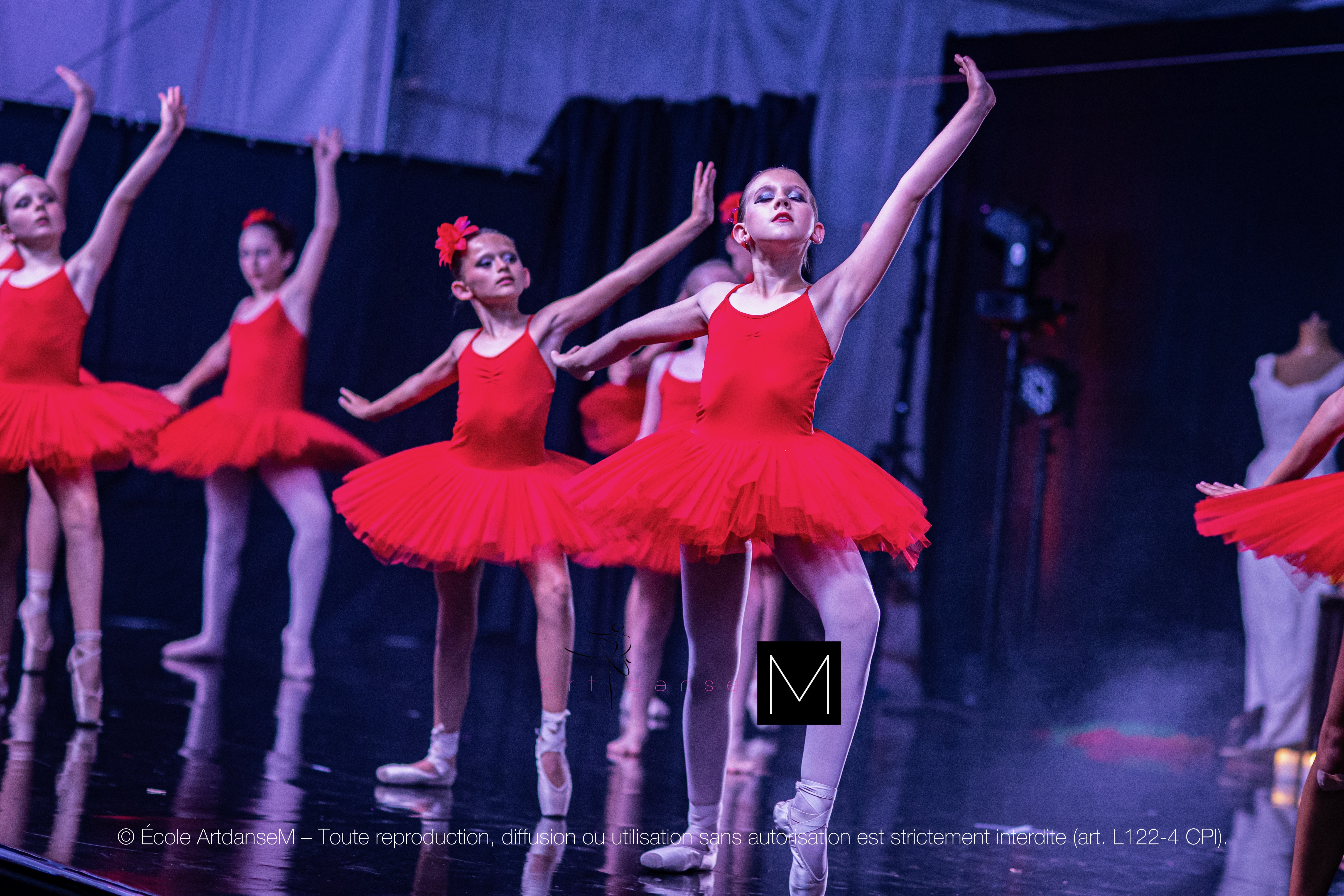 Danse ArtdanseM