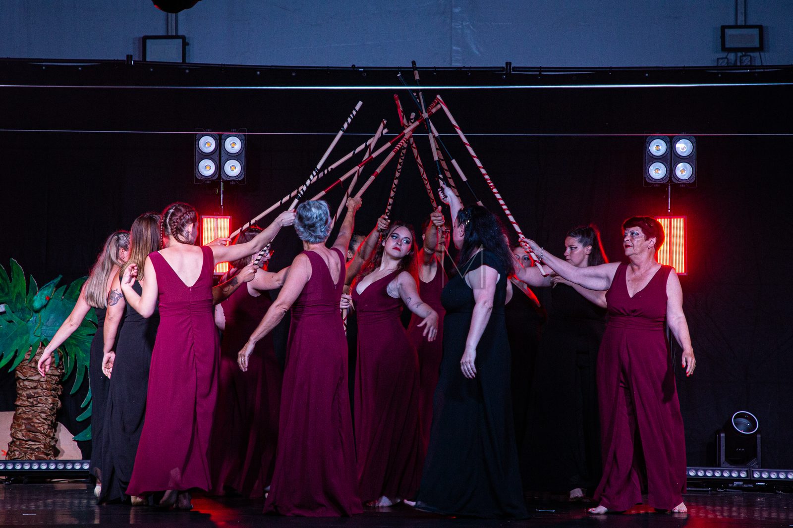 Photo de spectacle 15