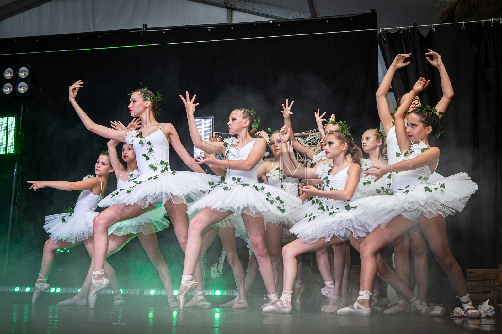 Photo de spectacle 24